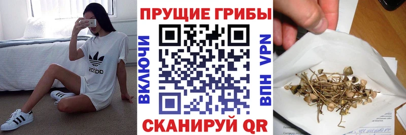 mega сайт  цены   Кузнецк  Псилоцибиновые грибы Cubensis 