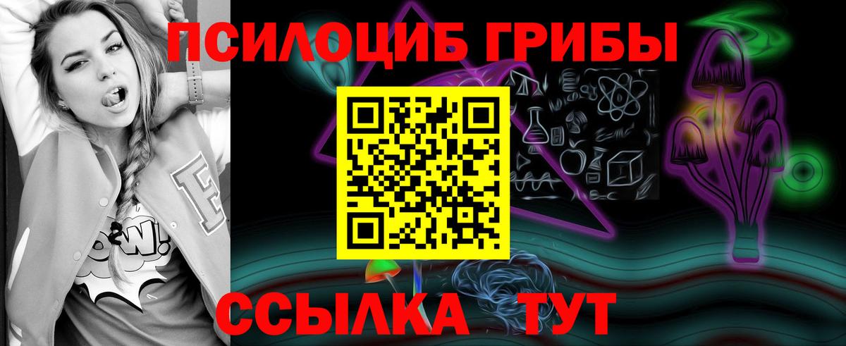 Псилоцибиновые грибы Magic Shrooms Кузнецк